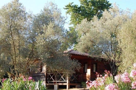 Gites Chalets De Grosseto-Prugna Luaran gambar